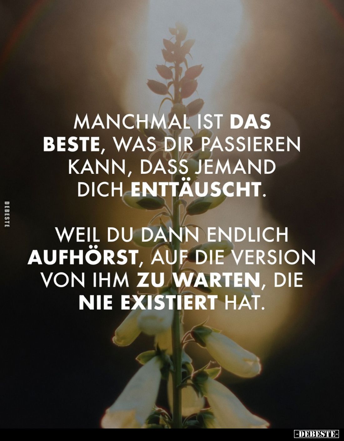 Manchmal ist das Beste, was dir passieren kann, dass jemand dich enttäuscht. Weil du dann endlich aufhörst, auf die Version v...