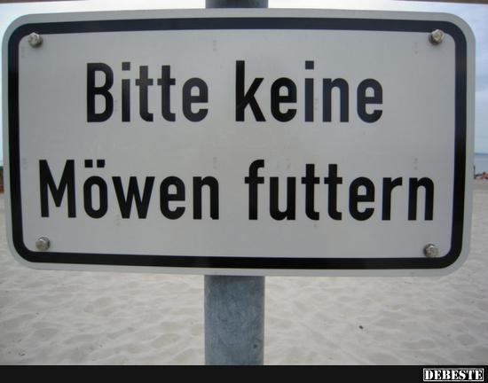 Bitte keine Möwen futtern.. - Lustige Bilder | DEBESTE.de
