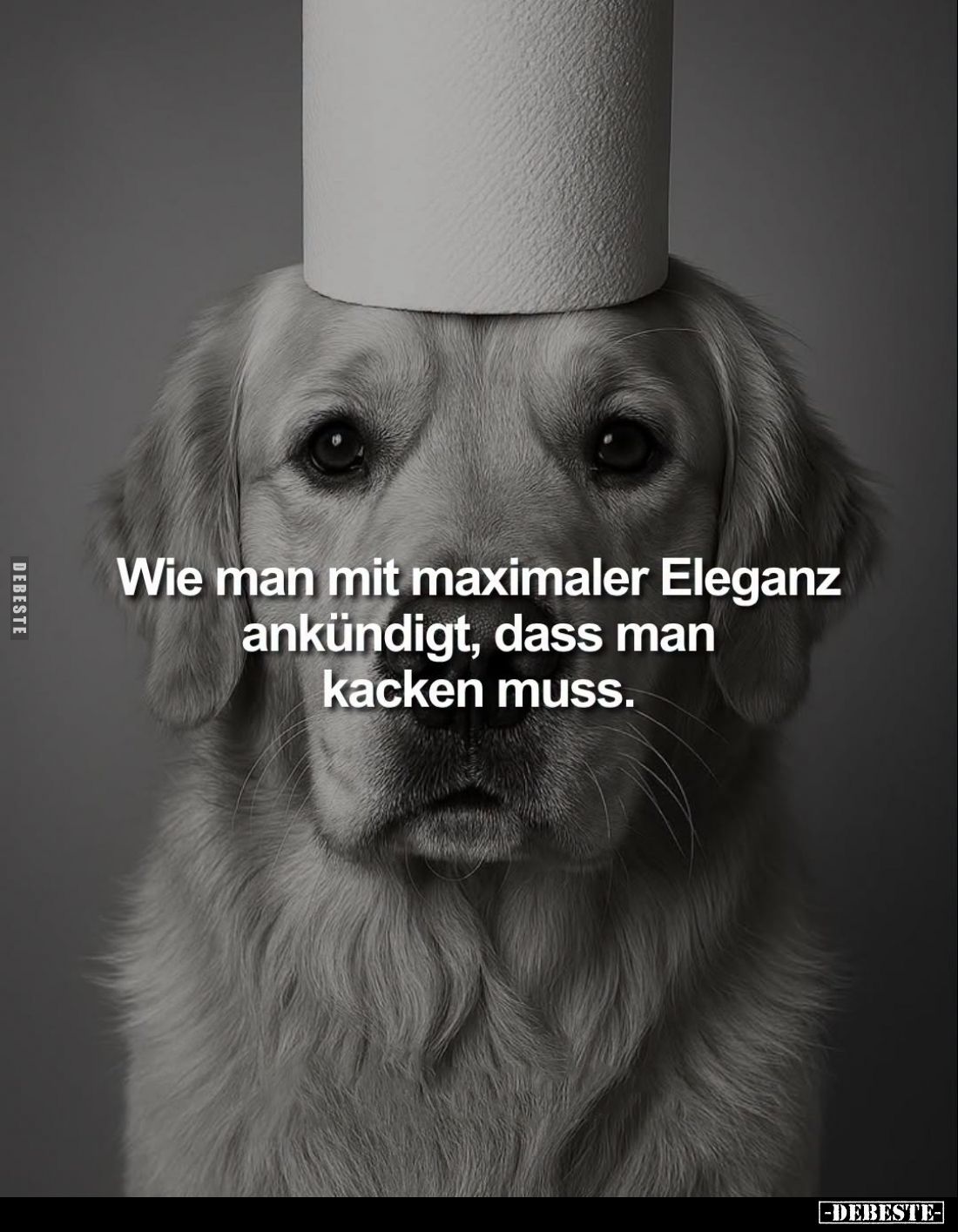 Wie man mit maximaler Eleganz ankündigt, dass man kacken muss.
