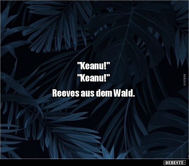 "Keanu!" "Keanu!" Reeves aus dem Wald... - Lustige Bilder | DEBESTE.de