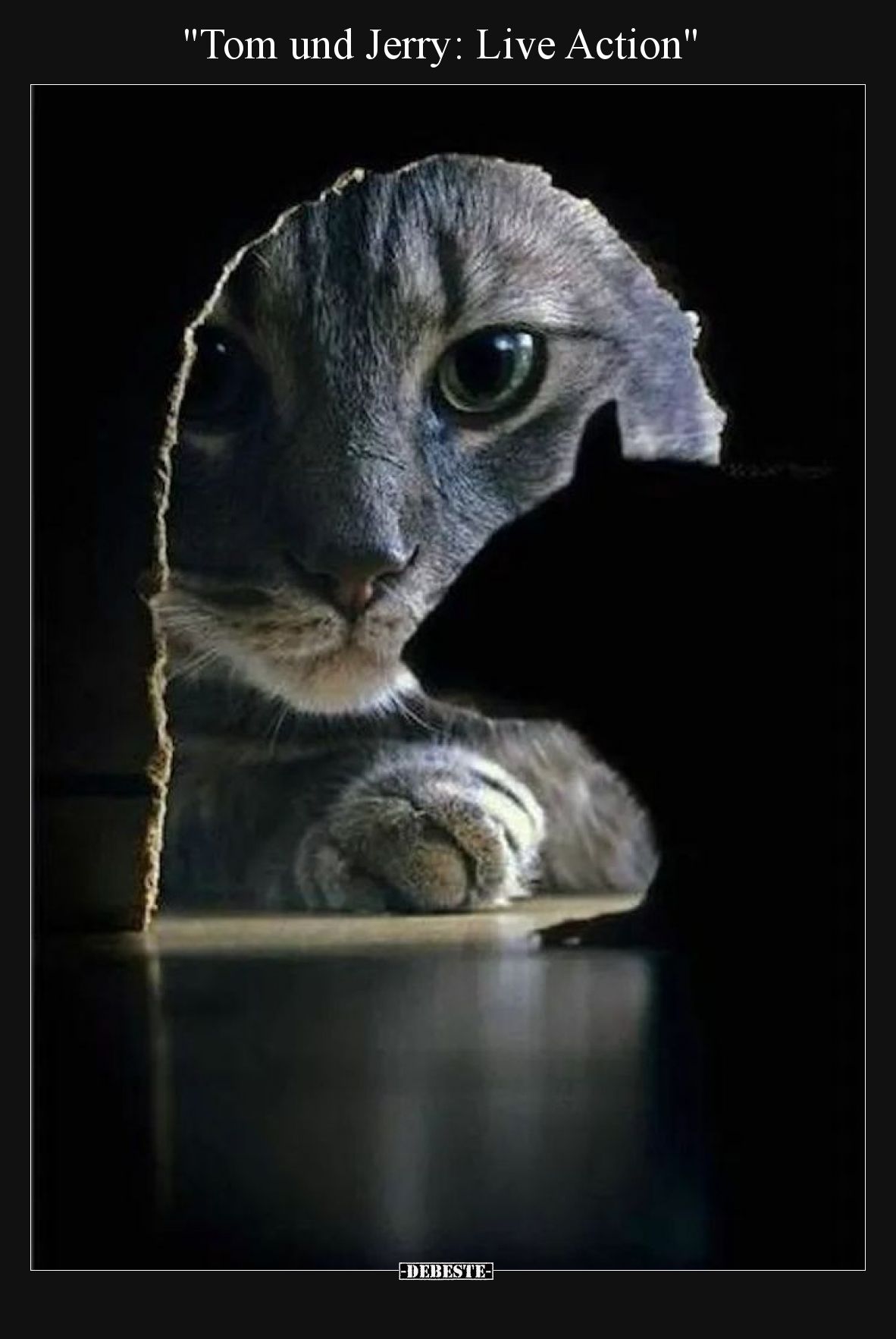 Tom und Jerry: Live Action
