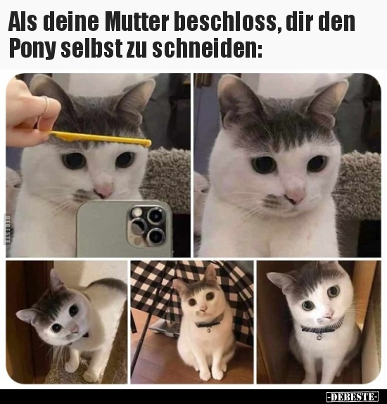 Als deine Mutter beschloss, dir den Pony selbst zu.. - Lustige Bilder | DEBESTE.de