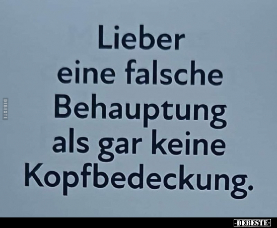 Lieber eine falsche Behauptung als gar keine.. - Lustige Bilder | DEBESTE.de