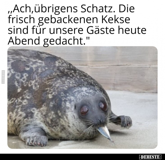 Schatz, Kekse, Heute, Abend