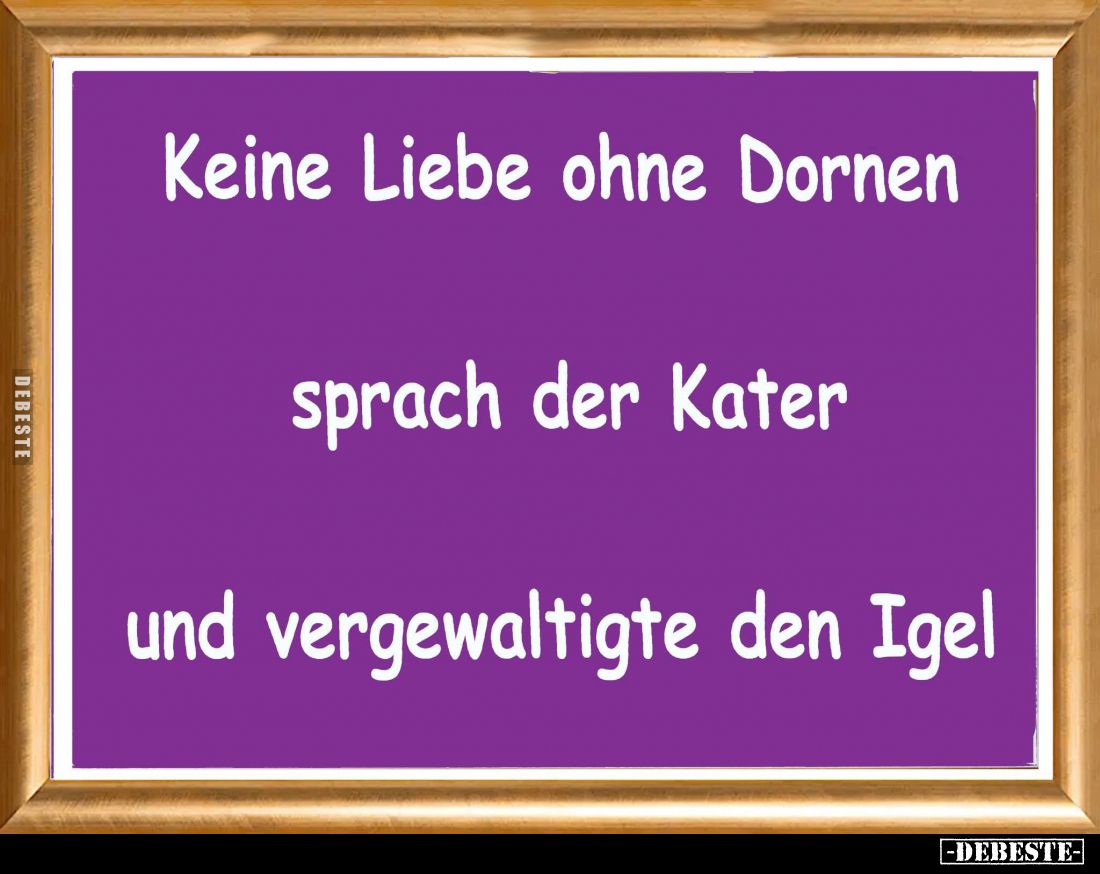 Keine Liebe ohne Dornen sprach der Kater und vergewaltigte den Igel.