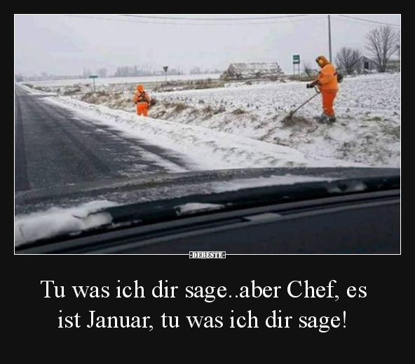 Tu was ich dir sage..aber Chef, es ist Januar, tu was ich dir sage! - Lustige Bilder | DEBESTE.de