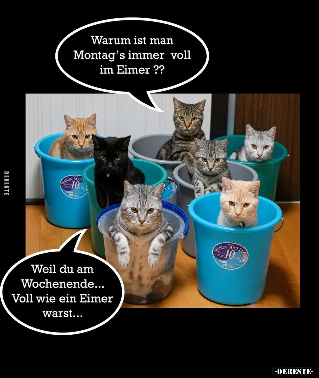 Warum ist man Montag's immer voll im Eimer??.. - Lustige Bilder | DEBESTE.de