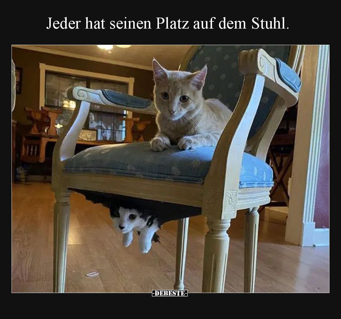 Jeder hat seinen Platz auf dem Stuhl.