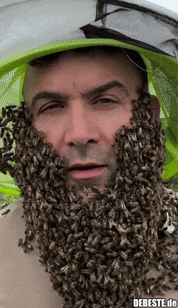  - Lustige Bilder | DEBESTE.de