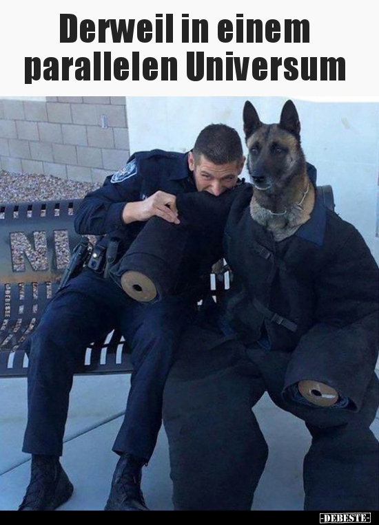 Derweil in einem parallelen Universum..