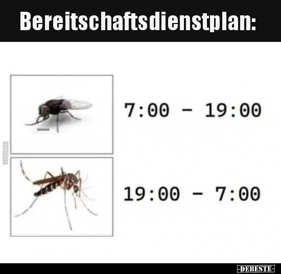 Bereitschaftsdienstplan.. - Lustige Bilder | DEBESTE.de