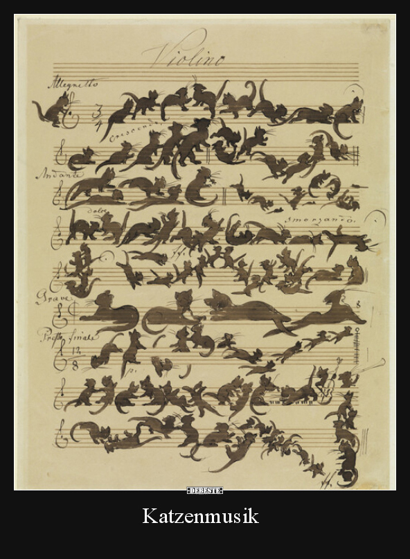 Katzenmusik..