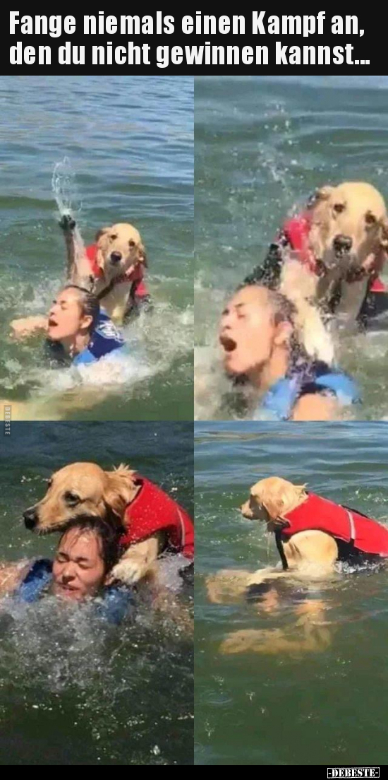 Fange niemals einen Kampf an, den du nicht gewinnen..