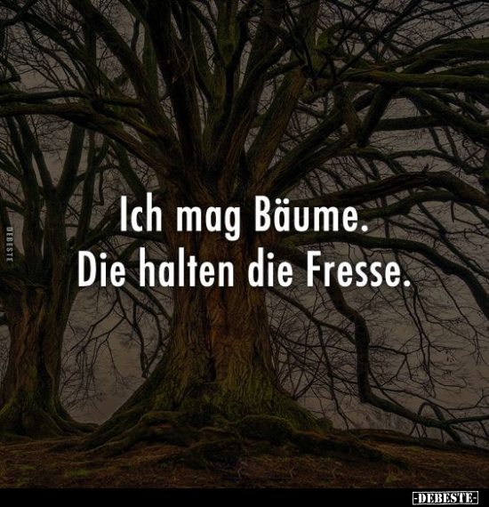 Ich mag Bäume. Die halten die Fresse... - Lustige Bilder | DEBESTE.de