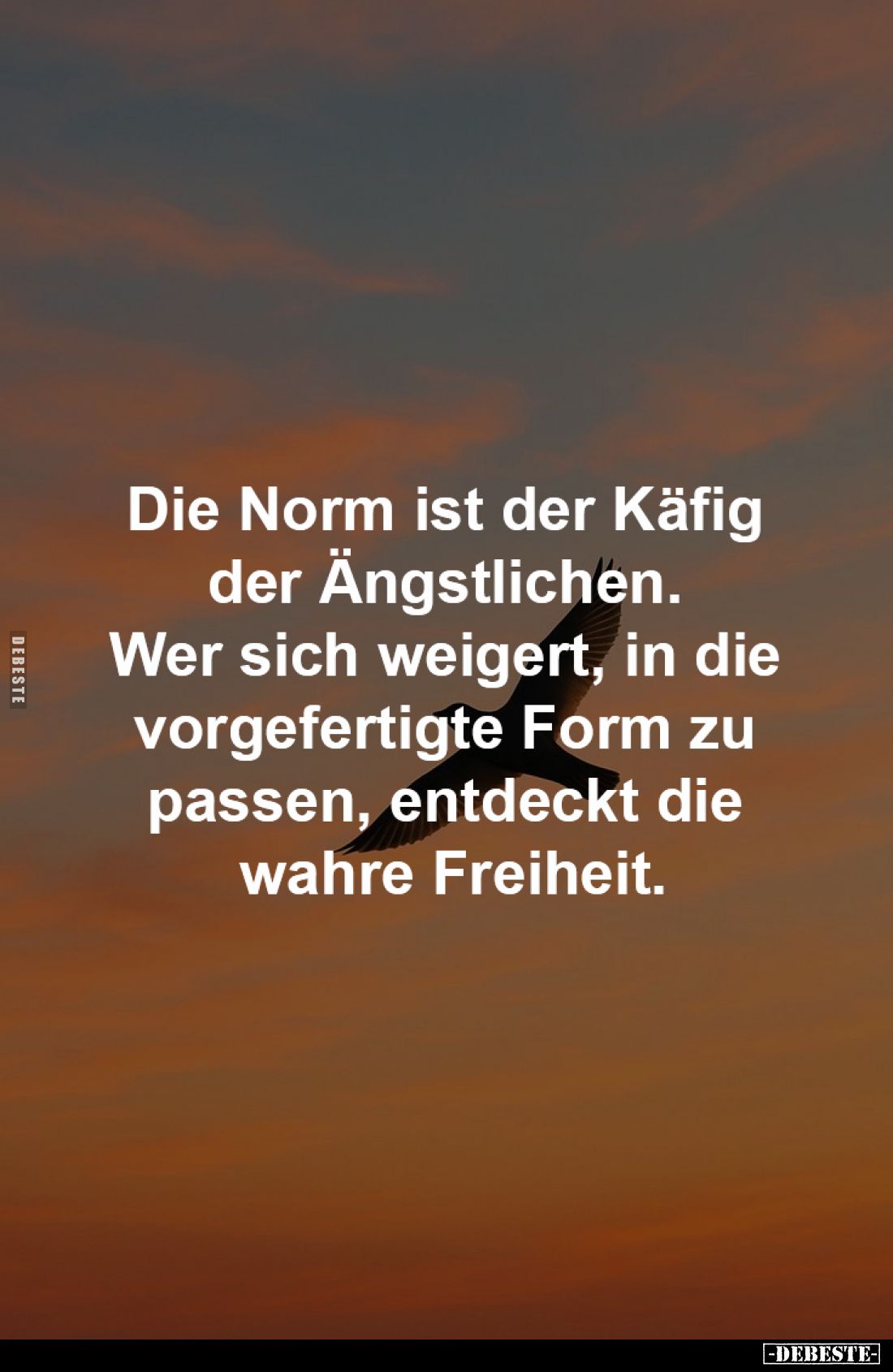 Die Norm ist der Käfig
der Ängstlichen.
Wer sich weigert, in die
vorgefertigte Form zu
passen, entdeckt die
wahre F...
