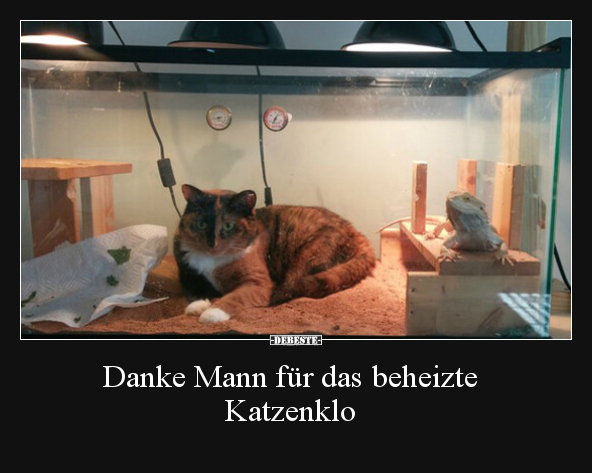 Danke Mann für das beheizte Katzenklo.. - Lustige Bilder | DEBESTE.de