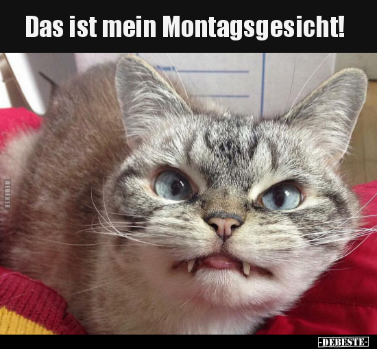 Das ist mein Montagsgesicht!.. - Lustige Bilder | DEBESTE.de