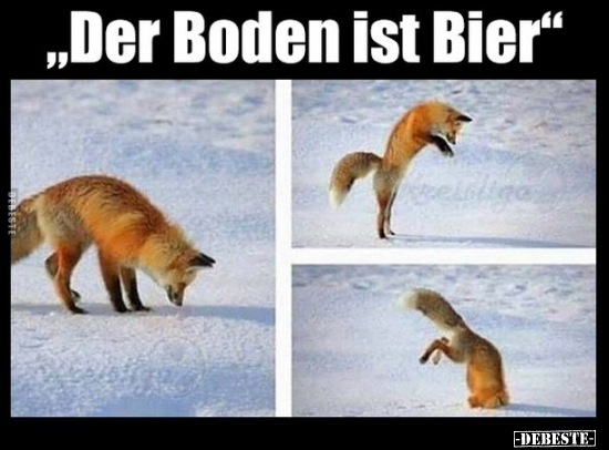 "Der Boden ist Bier".. - Lustige Bilder | DEBESTE.de