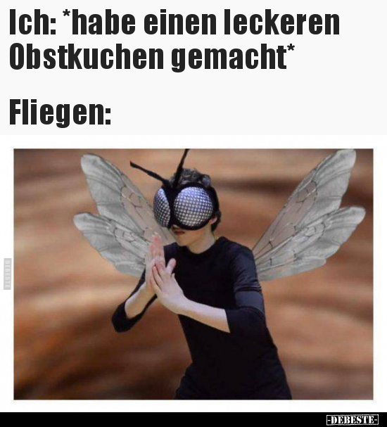 Ich: *habe einen leckeren Obstkuchen.. - Lustige Bilder | DEBESTE.de