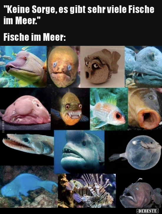 "Keine Sorge, es gibt sehr viele Fische im Meer.." - Lustige Bilder | DEBESTE.de