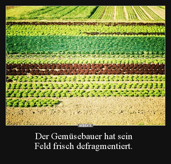 Der Gemüsebauer hat sein  Feld frisch defragmentiert... - Lustige Bilder | DEBESTE.de