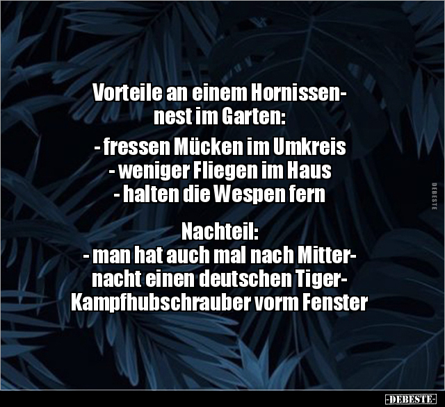Vorteile an einem Hornissennest im Garten: - Lustige Bilder | DEBESTE.de