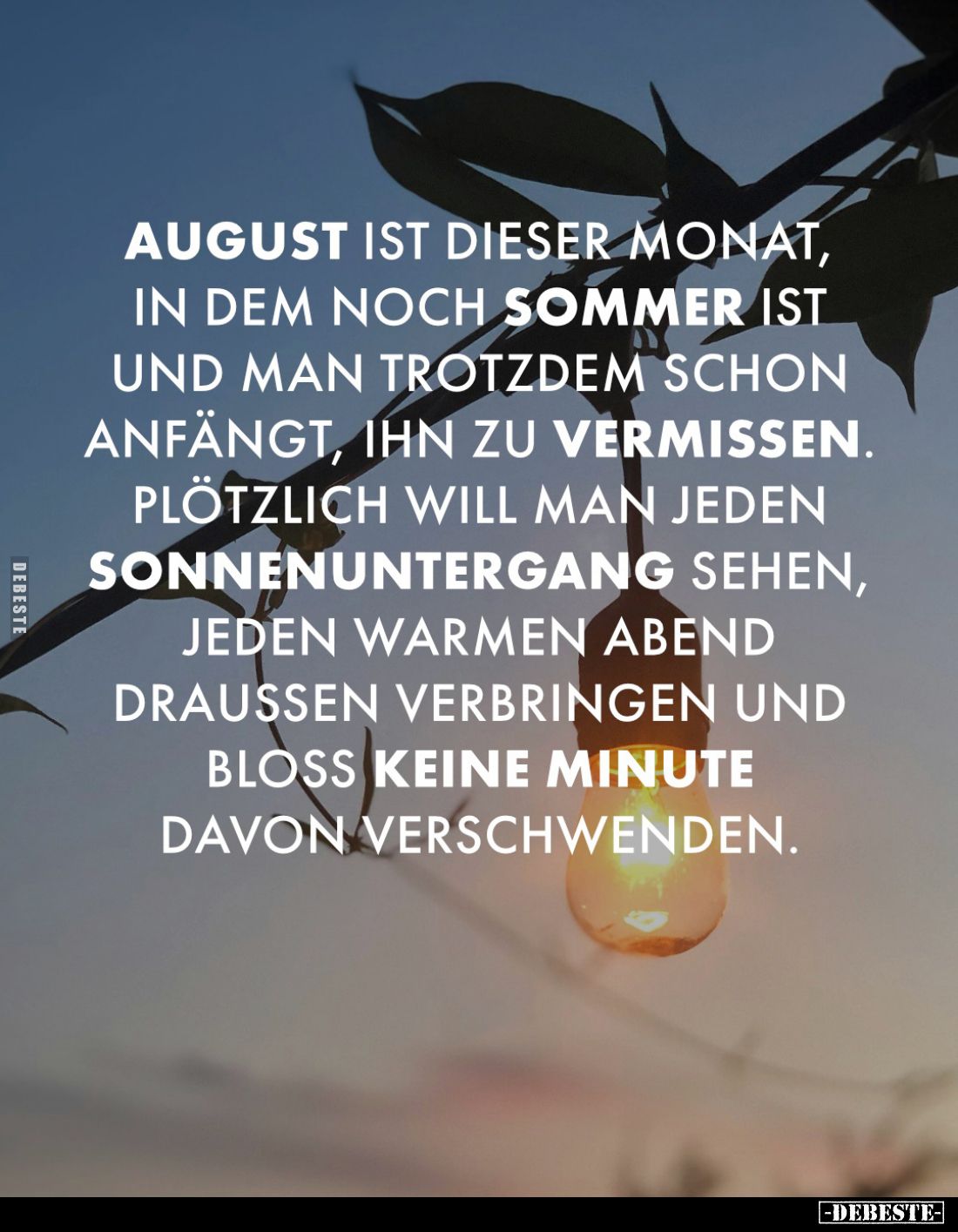 August ist dieser Monat, in dem noch Sommer ist und man trotzdem schon anfängt, ihn zu vermissen.
Plötzlich will man jeden S...