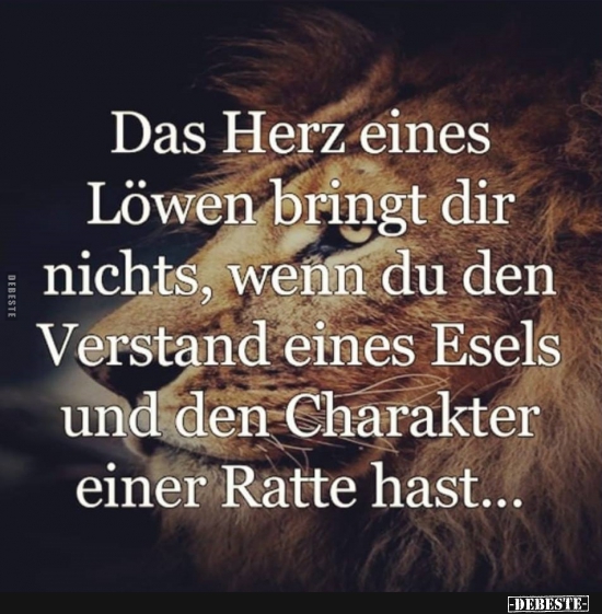 Das Herz eines Löwen bringt dir nichts.. - Lustige Bilder | DEBESTE.de