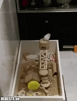 Huiii... - Lustige Bilder | DEBESTE.de