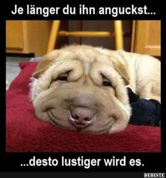 Je länger du ihn anguckst...