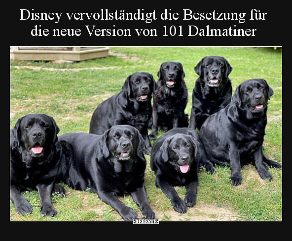 Disney vervollständigt die Besetzung für die neue Version.. - Lustige Bilder | DEBESTE.de