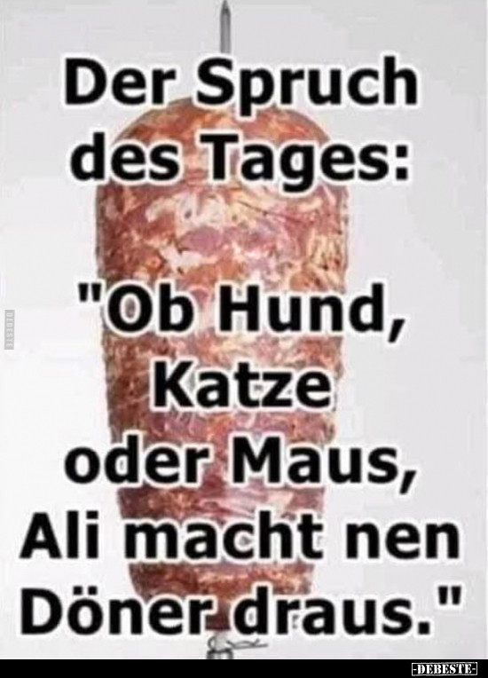 Der Spruch des Tages: "Ob Hund, Katze oder Maus, Ali macht.." - Lustige Bilder | DEBESTE.de