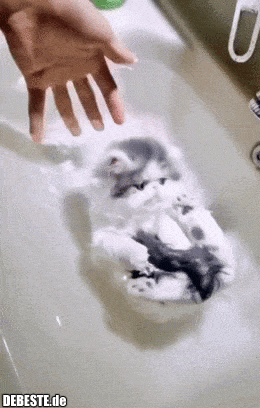 ☻ - Lustige Bilder | DEBESTE.de