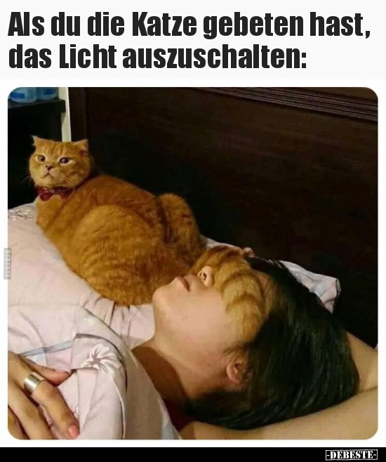 Als du die Katze gebeten hast, das Licht auszuschalten.. - Lustige Bilder | DEBESTE.de