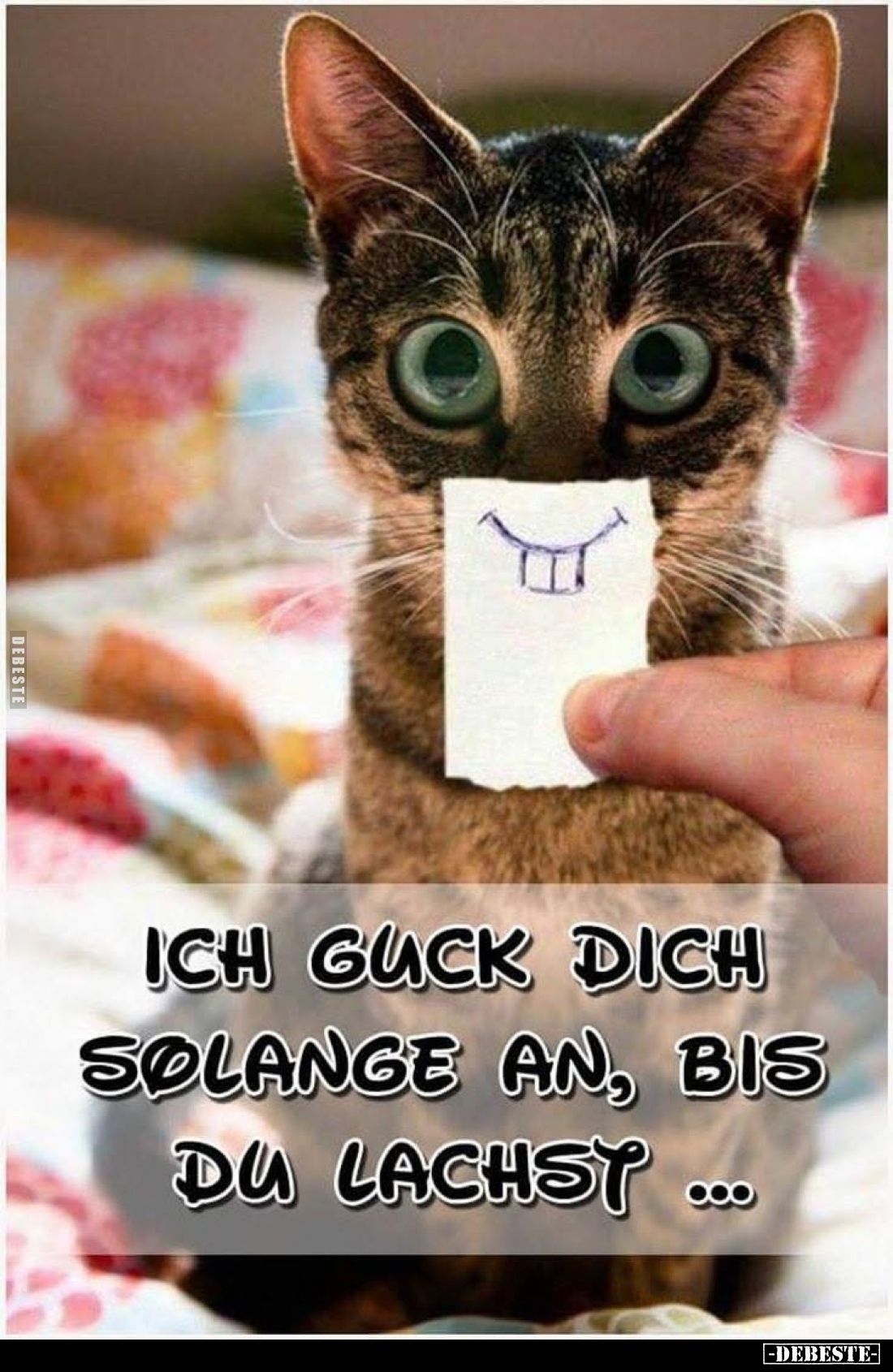 Ich guck dich solange an, bis du lachst...