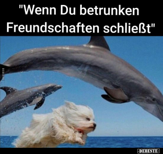 "Wenn Du betrunken Freundschaften schließt".. - Lustige Bilder | DEBESTE.de