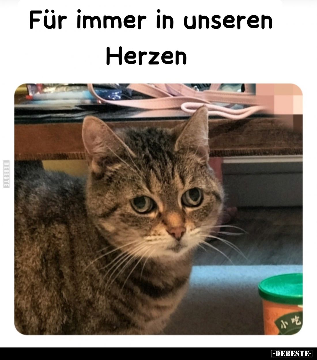 Gudrun