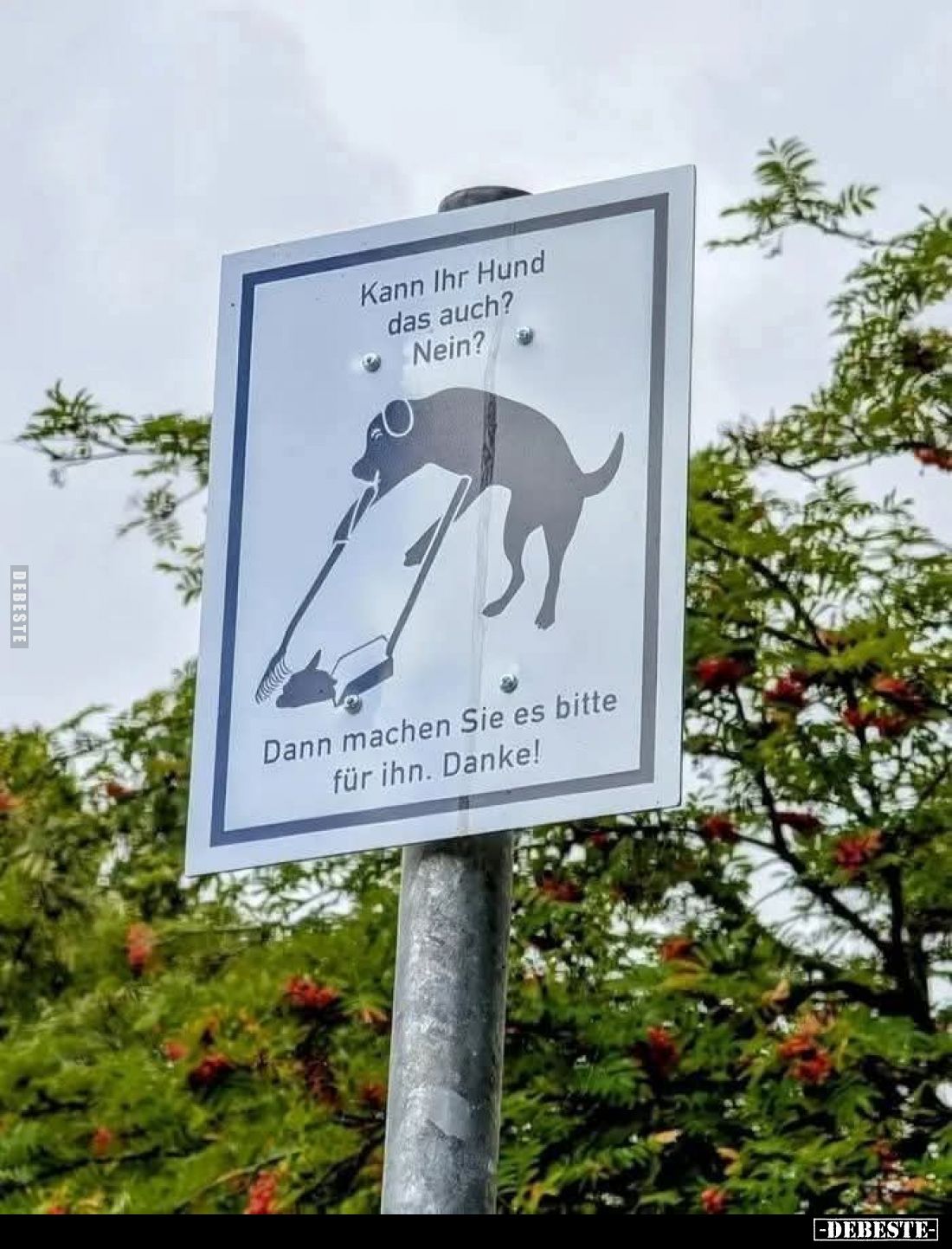 Kann Ihr Hund das auch?
Nein?
Dann machen Sie es bitte für ihn. Danke!