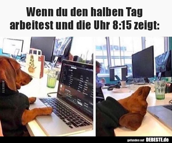 Wenn du den halben Tag arbeitest und die Uhr 8:15..