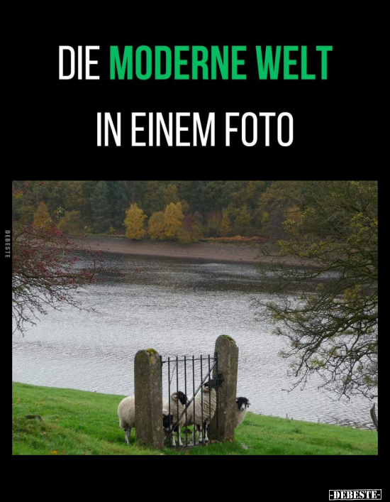 Moderne, Foto