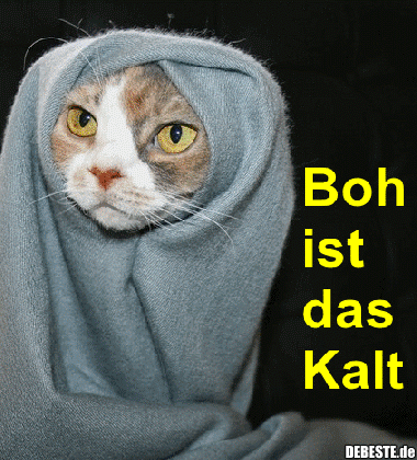 Boh ist das Kalt..