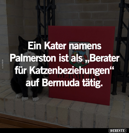 Kater