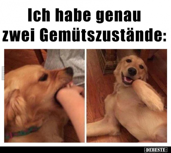 Ich habe genau zwei Gemütszustände..