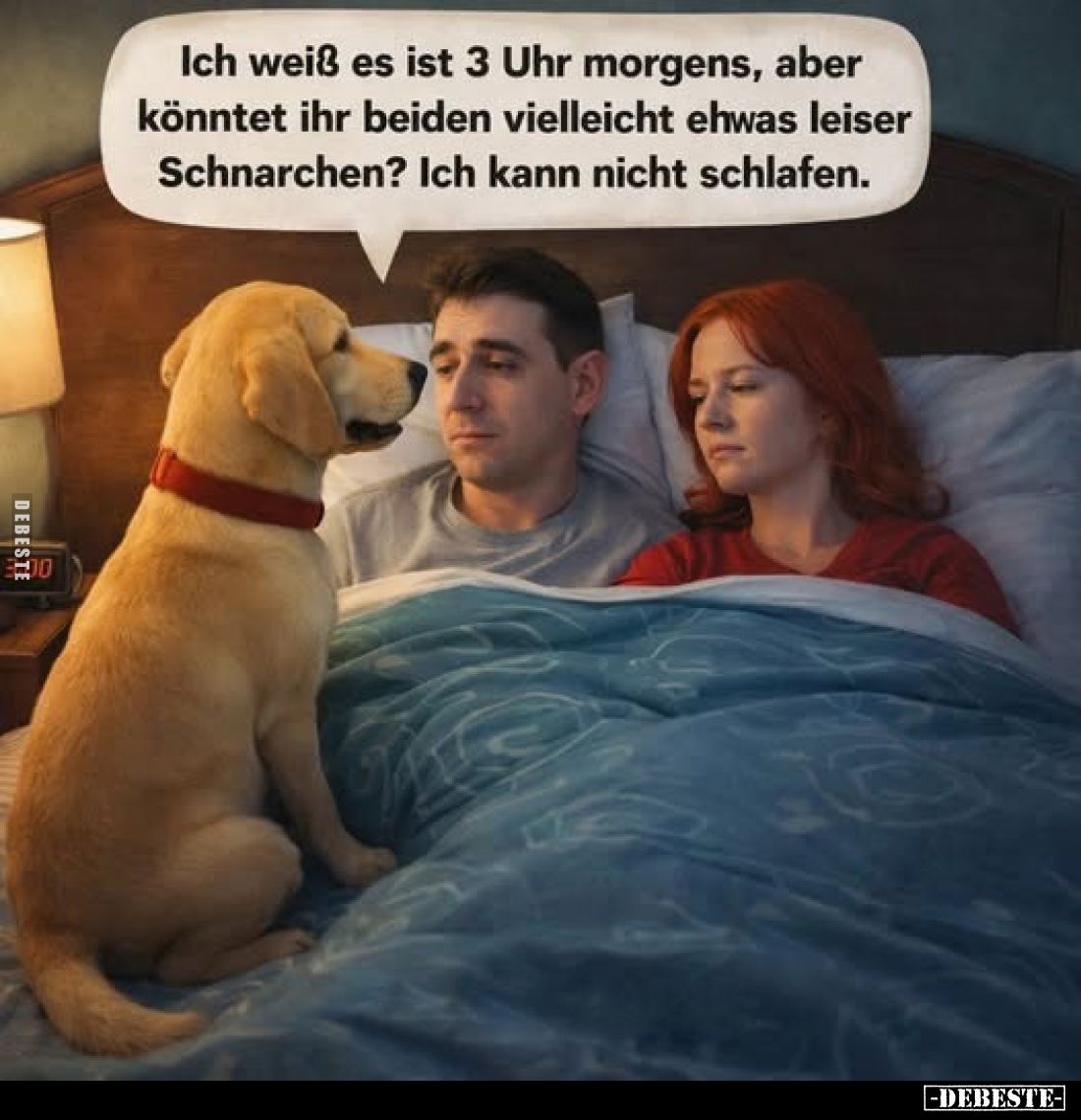 Ich weiß es ist 3 Uhr morgens, aber könntet ihr beiden vielleicht etwas leiser Schnarchen? Ich kann nicht schlafen.