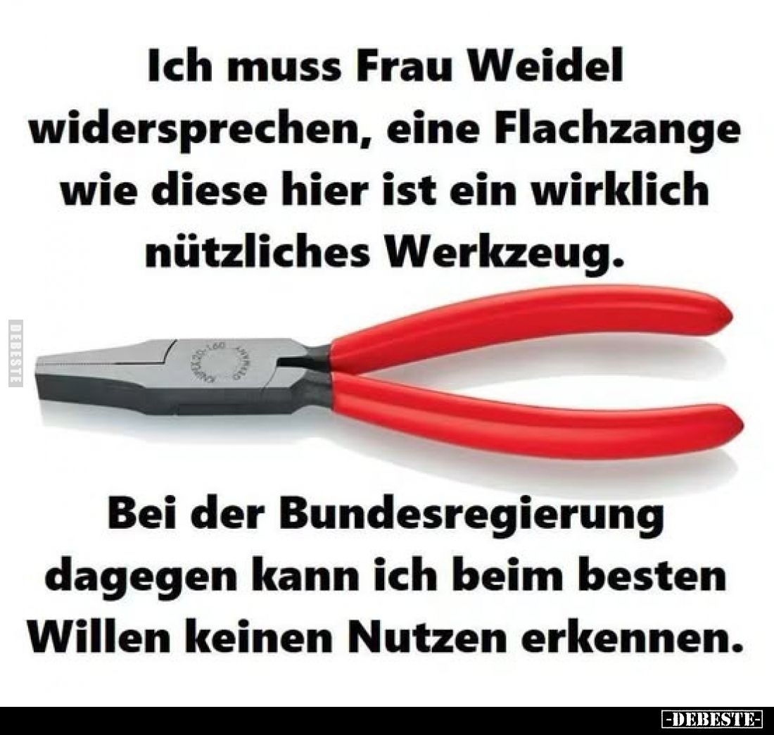 Ich muss Frau Weidel widersprechen, eine Flachzange wie diese hier ist ein wirklich nützliches Werkzeug.

Bei der Bundesreg...