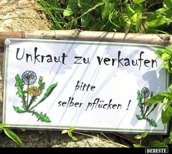 Unkraut zu verkaufen.. - Lustige Bilder | DEBESTE.de