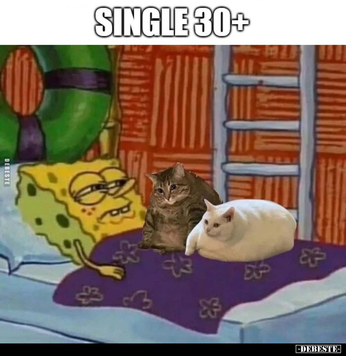  - Lustige Bilder | DEBESTE.de