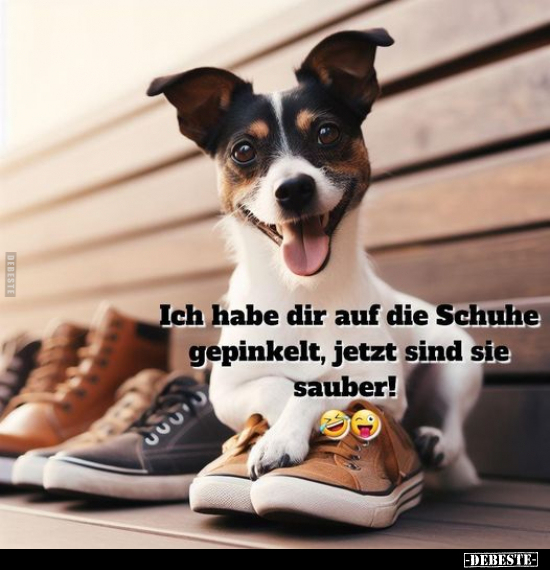 Ich habe dir auf die Schuhe gepinkelt, jetzt sind sie sauber!.. - Lustige Bilder | DEBESTE.de