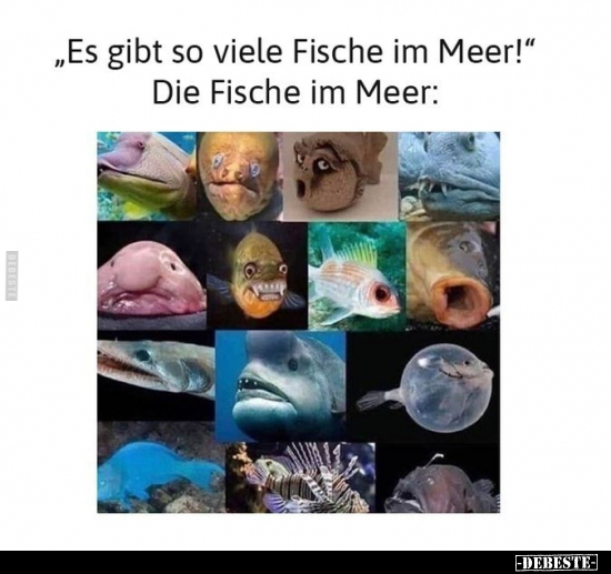 "Es gibt so viele Fische im Meer!".. - Lustige Bilder | DEBESTE.de