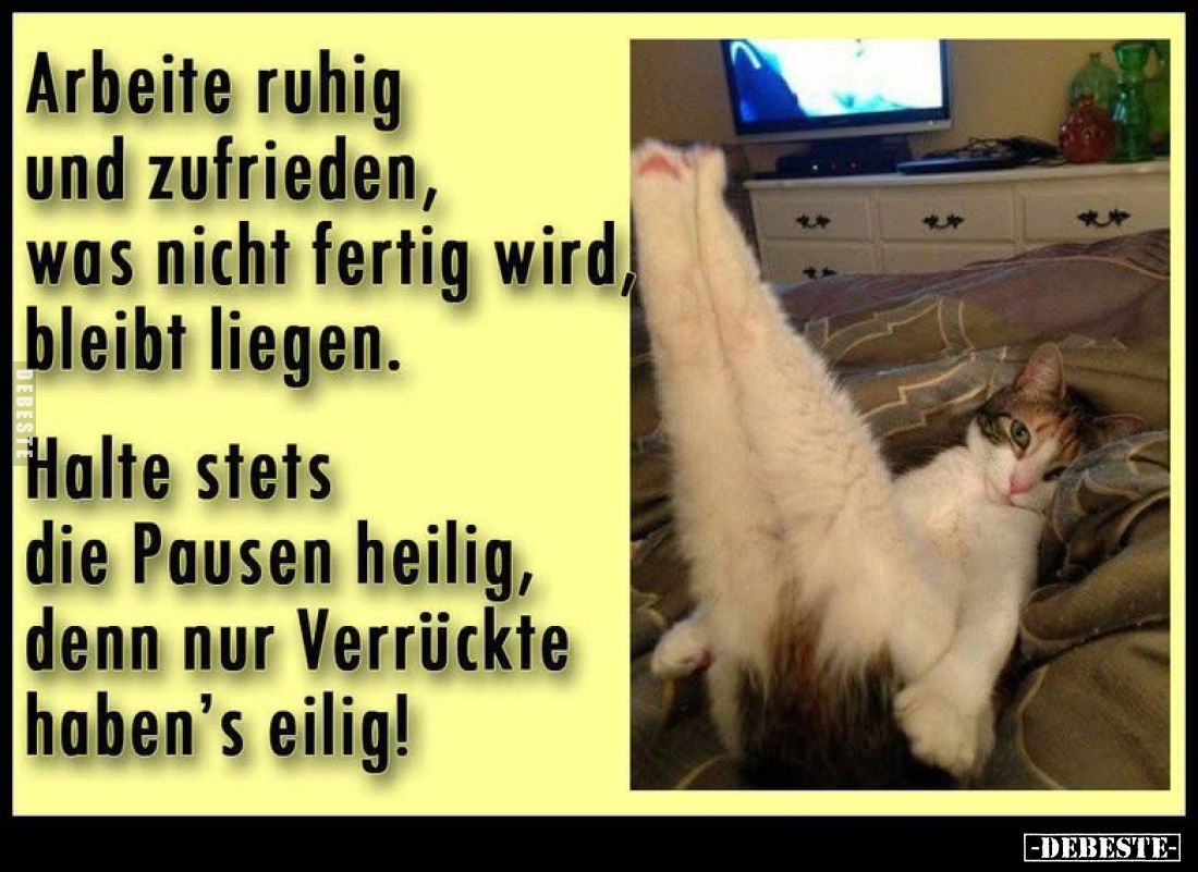 Arbeite ruhig und zufrieden, was nicht fertig wird, bleibt.. - Lustige Bilder | DEBESTE.de